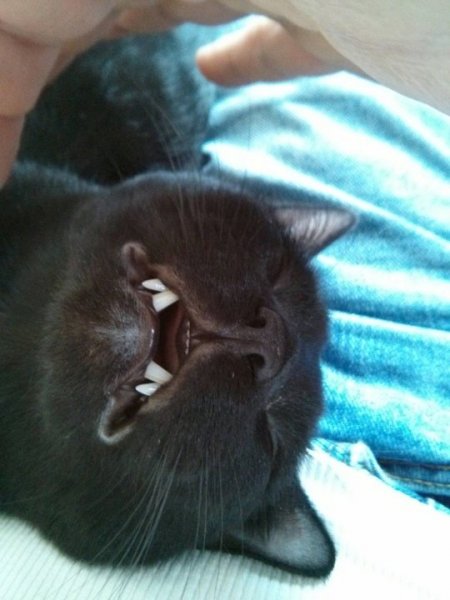 Egyesek-viszont-nem-hajlandóak-felkelni