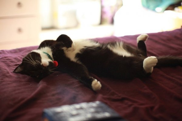 Másokat-pedig-lehetetlenség-felkölteni-az-álmukból.