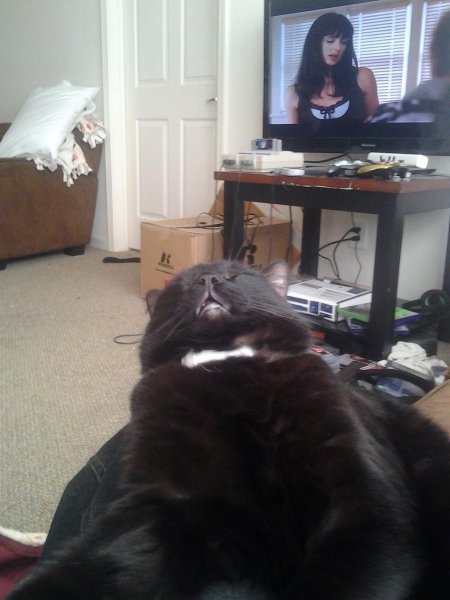 Még-a-jó-tv-műsor-mellett-is-képesek-elaludni