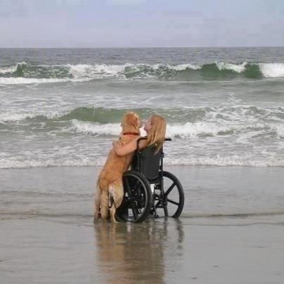 dog-mans-best-friend-2-104bf4