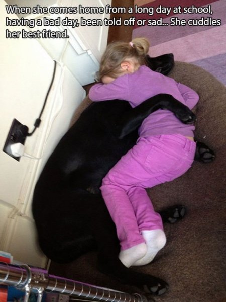 dog-mans-best-friend-2-114bf4