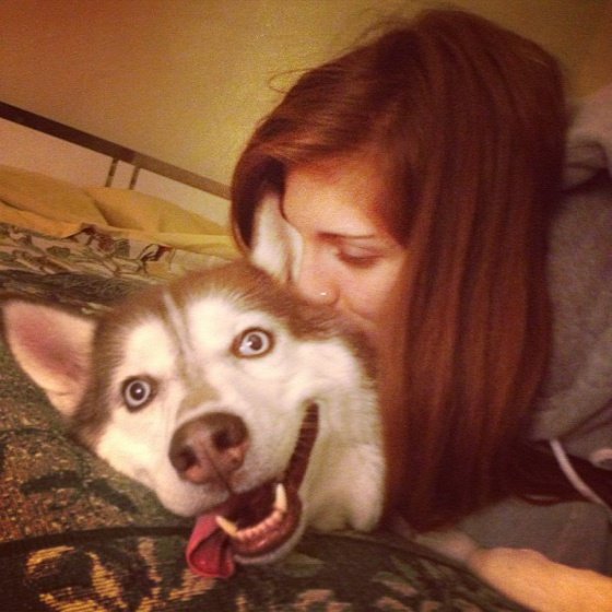 dog-mans-best-friend-2-1332db