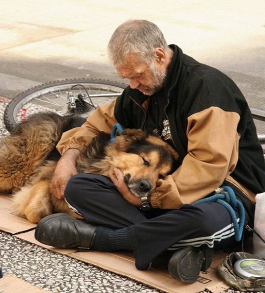 dog-mans-best-friend-2-144bf4