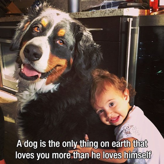 dog-mans-best-friend-2-14bf4