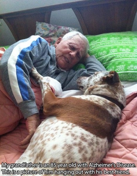 dog-mans-best-friend-2-1632db