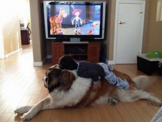dog-mans-best-friend-2-19d032