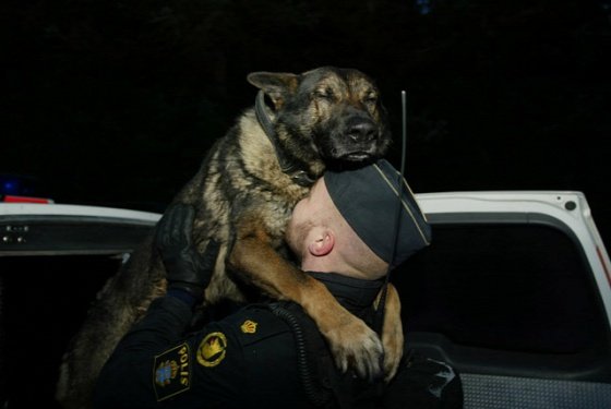 dog-mans-best-friend-2-232db