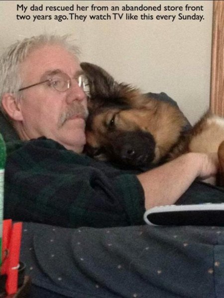dog-mans-best-friend-2-2432db