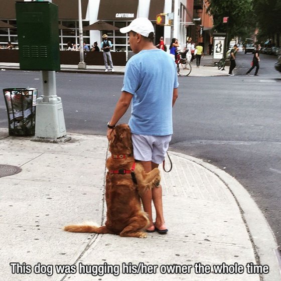 dog-mans-best-friend-2-25ed64