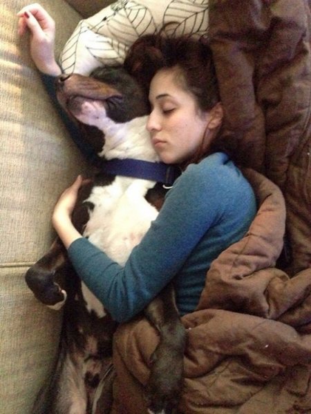 dog-mans-best-friend-2-26ed64
