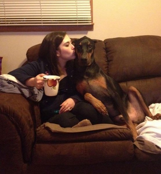 dog-mans-best-friend-2-6ed64