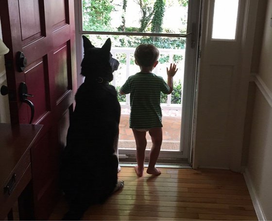 dog-mans-best-friend-2-7ed64