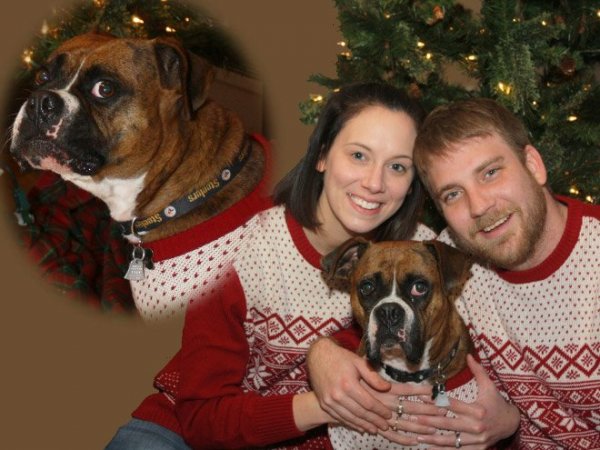 pet-glamour1 másolata