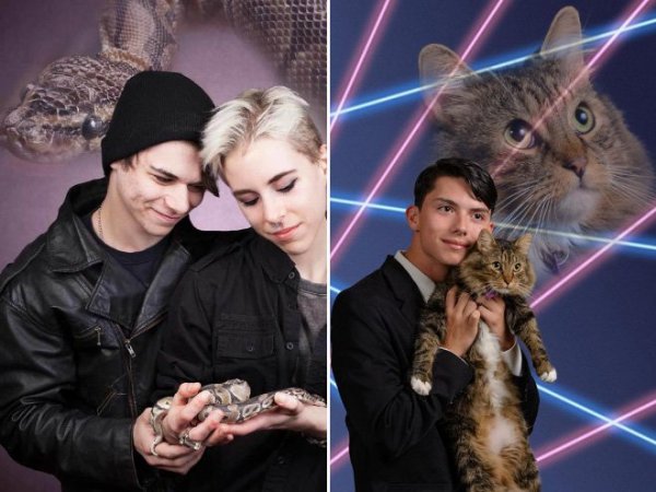 pet-glamour8 másolata